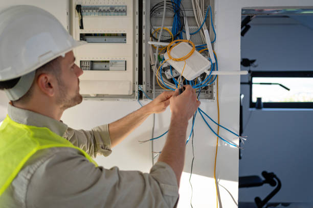 Best Electric Panel Repair  in Petersburg, IL