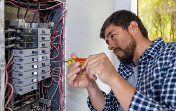 Best Electrical System Inspection  in Petersburg, IL